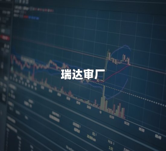 关于瑞达审厂
