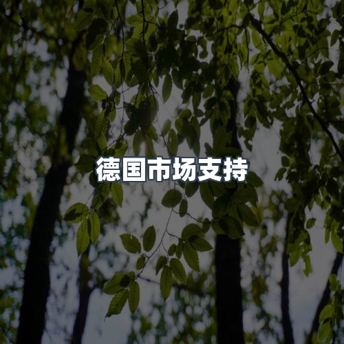 服务优势